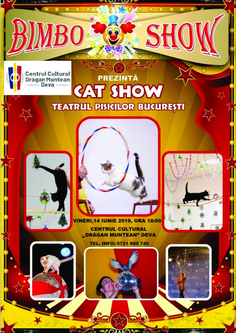 Cat Show - Teatrul pisicilor București